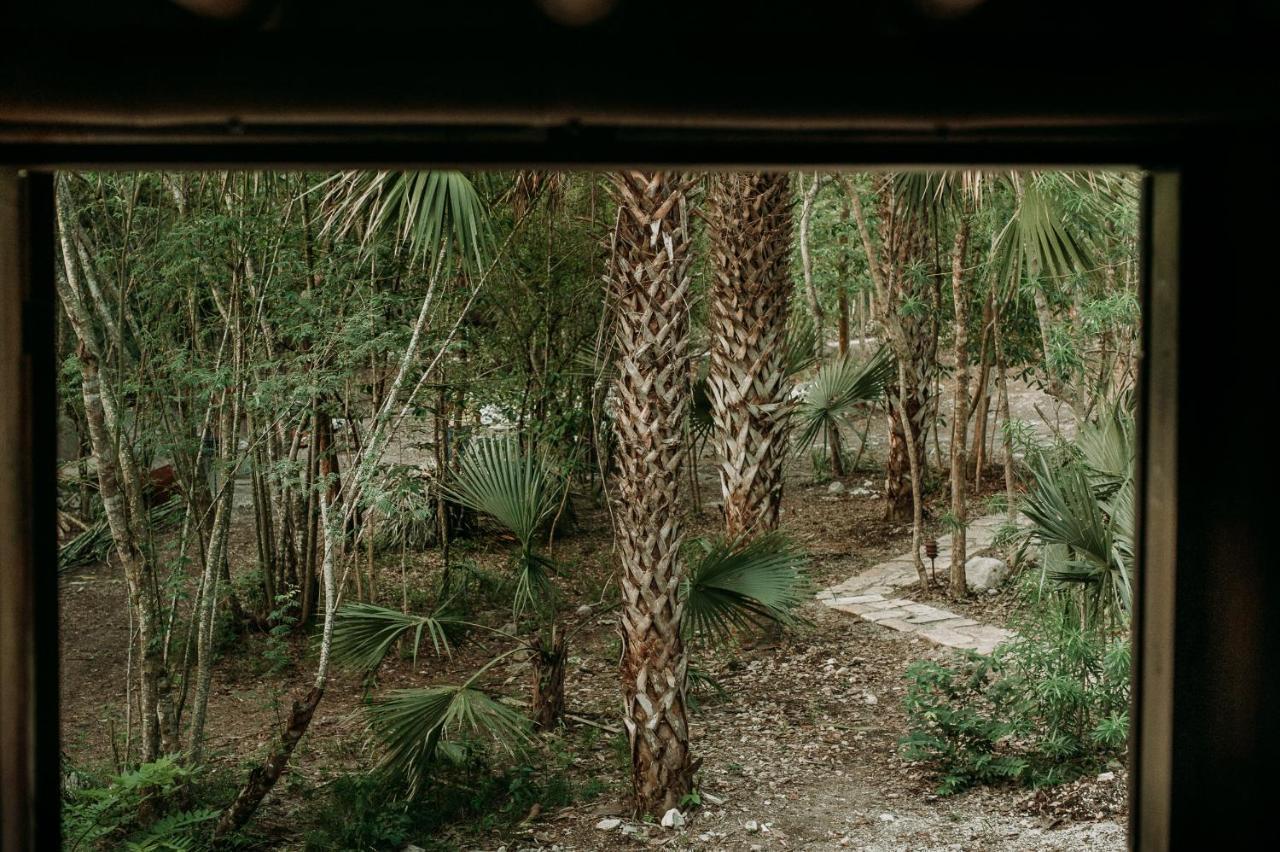 Selva Teenek Eco-Park Ciudad Valles Esterno foto