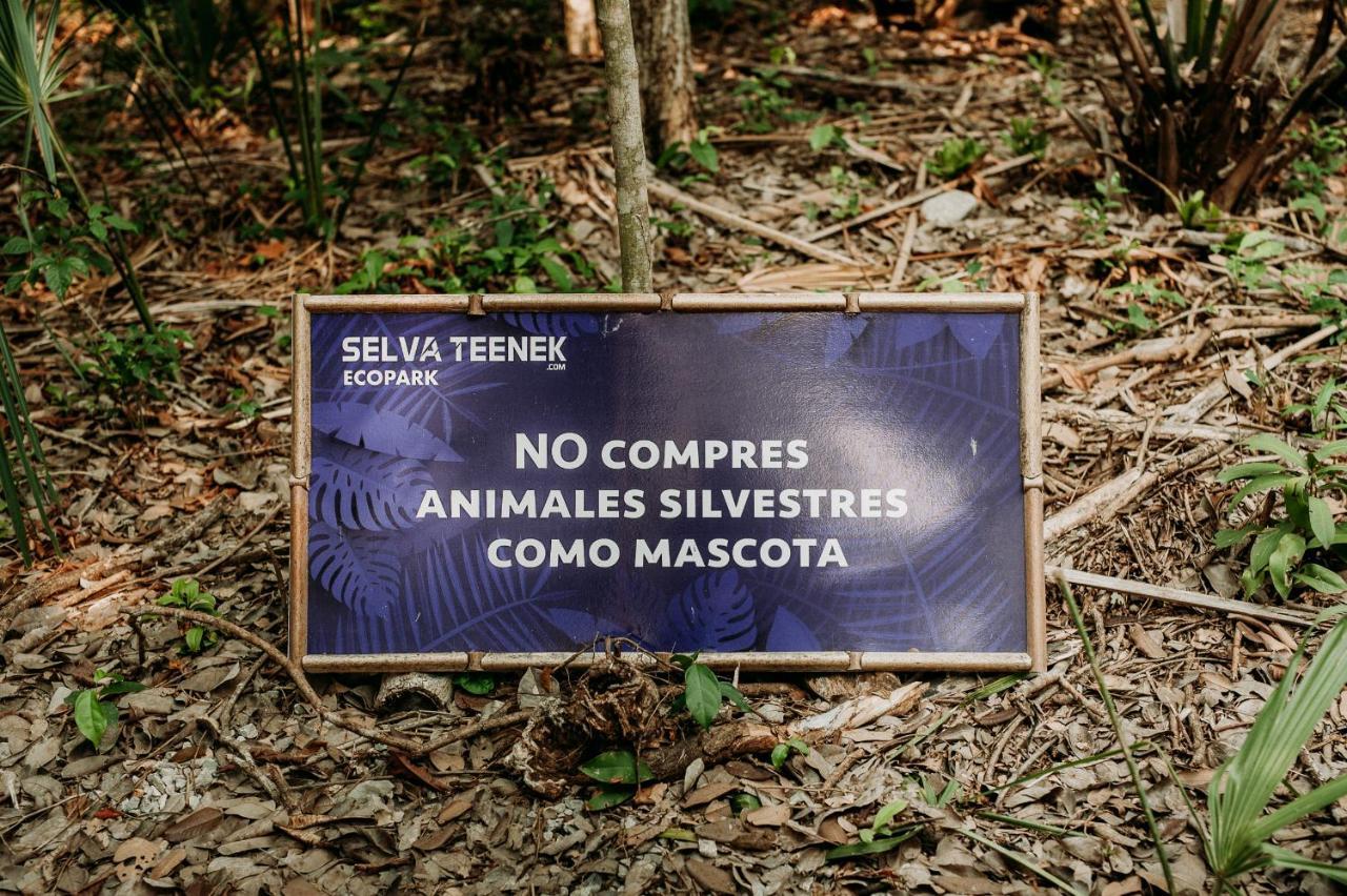 Selva Teenek Eco-Park Ciudad Valles Esterno foto