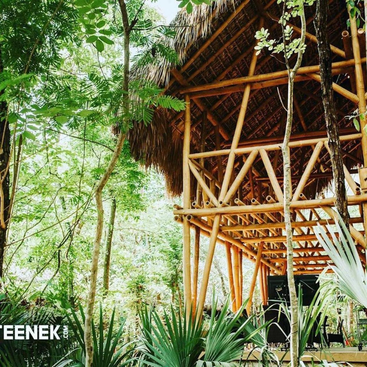 Selva Teenek Eco-Park Ciudad Valles Esterno foto