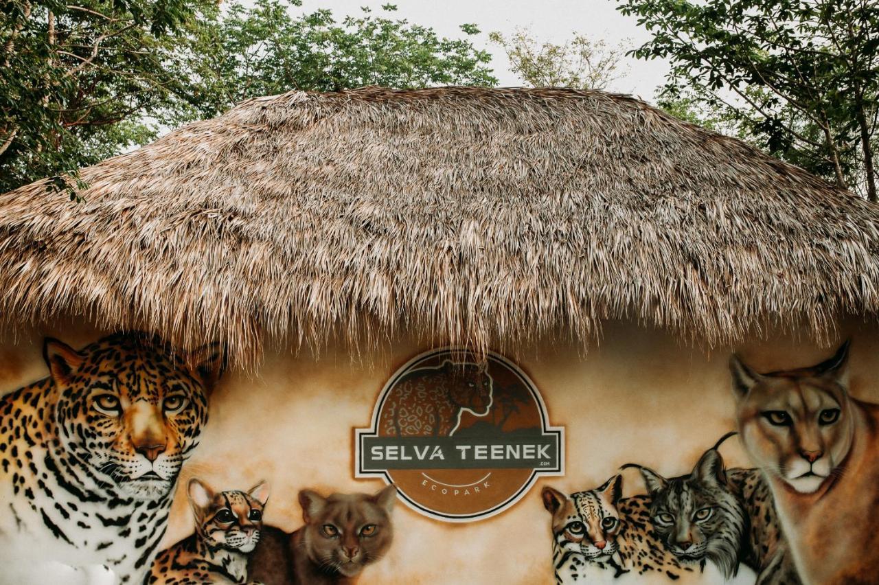 Selva Teenek Eco-Park Ciudad Valles Esterno foto